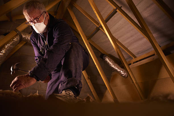 Best Residential Insulation in Pierce, CO